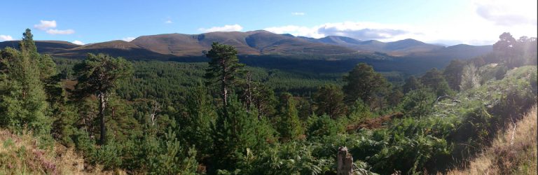 Cairngorms National Park