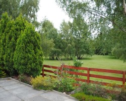 Cairngorm Holiday Bungalows, Coire Mhor - rear garden